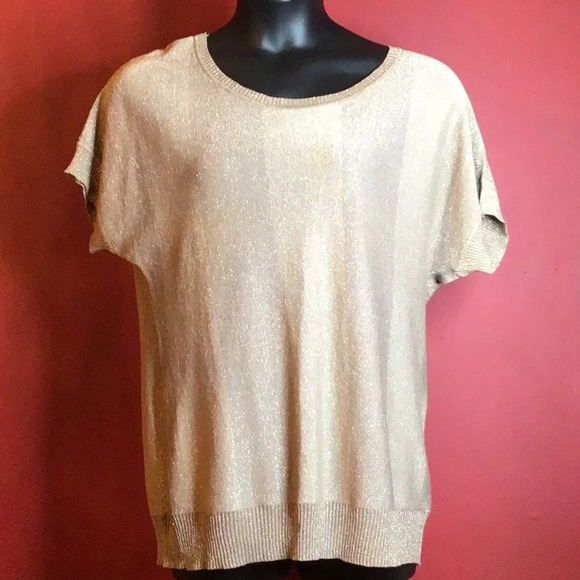 SAY WHAT? METALLIC TOP SIZE 3X - Picture 1 of 4